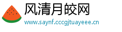 风清月皎网